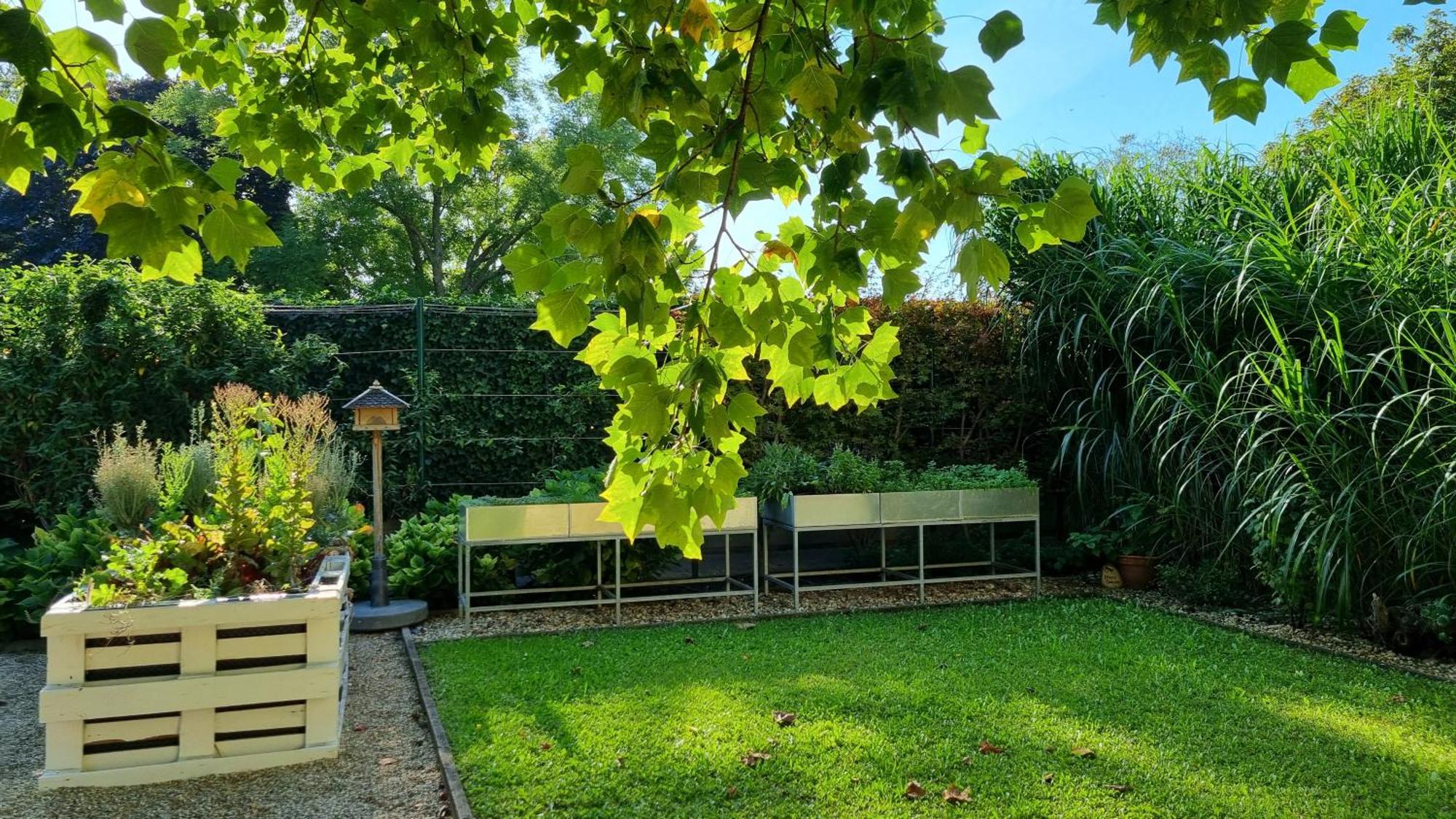 Birkenhof Gols - B & B - Wohlfuehl Hotel Mit Wochenend-Restaurant Extérieur photo